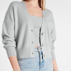 Express Light Gray Knitwear